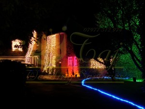Beautiful-Garden-Lights