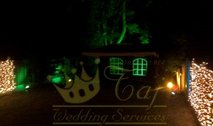 party-event-garden-lights