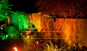 party-garden-spot-lights